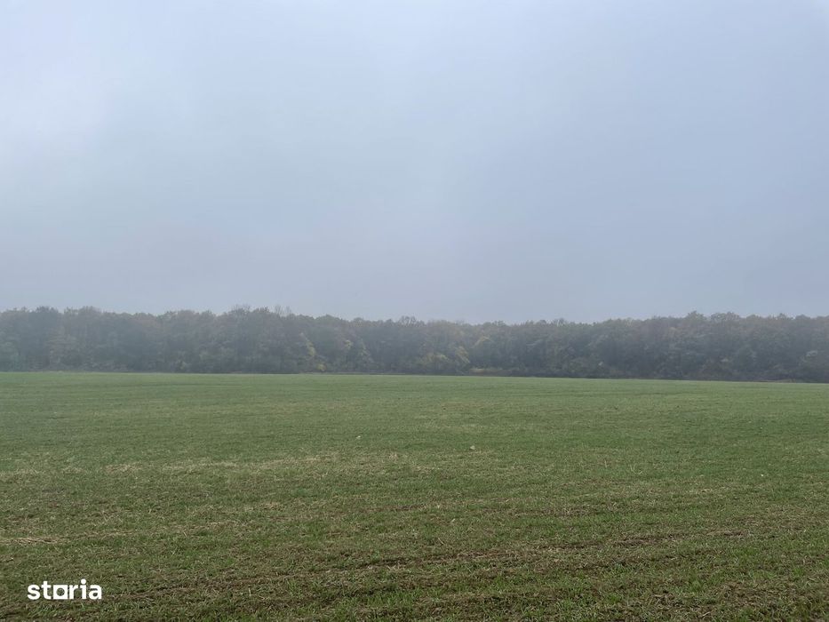 9400 mp | Ideal pentru investitie | Tunari | Deschidere la padure