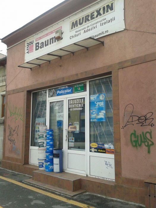 Vand casa cu teren sos.Viilor, parc Carol