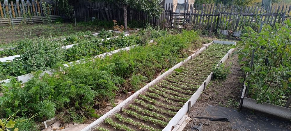 Продам дачный участок с домиком