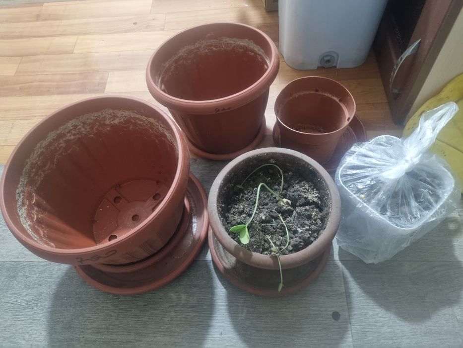 Продам горшки для цветов