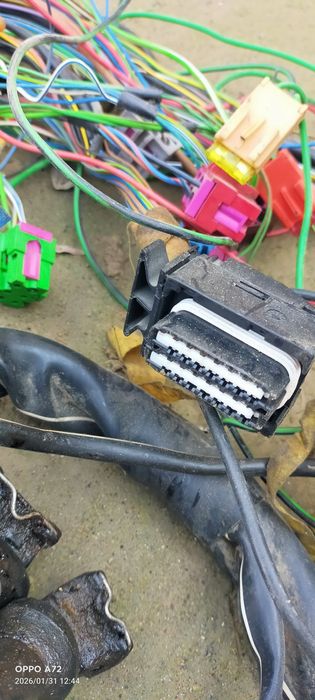 Коса провыт жағдай жақсы