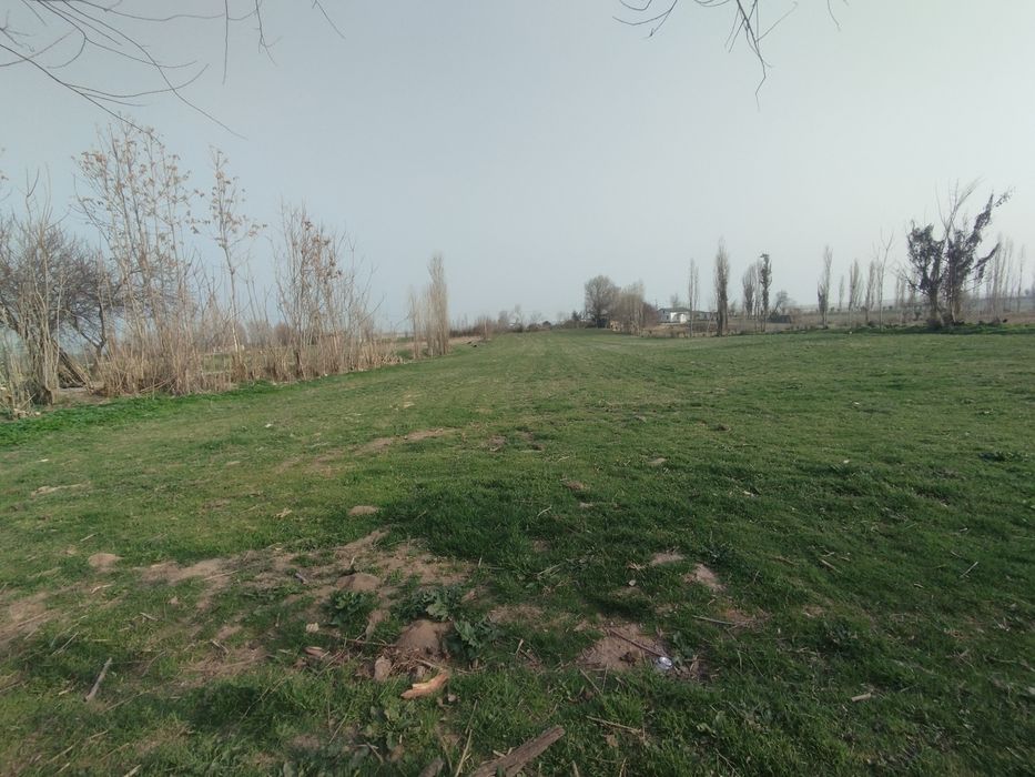 Tezda uy sotiladi: Qulay joylashuv, katta yer maydoni.