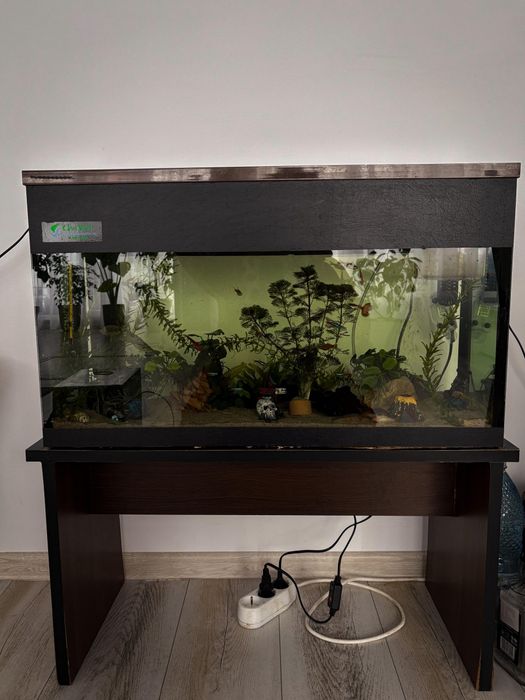 Vand acvariu facut pe comanda 60-70L, COMPLET