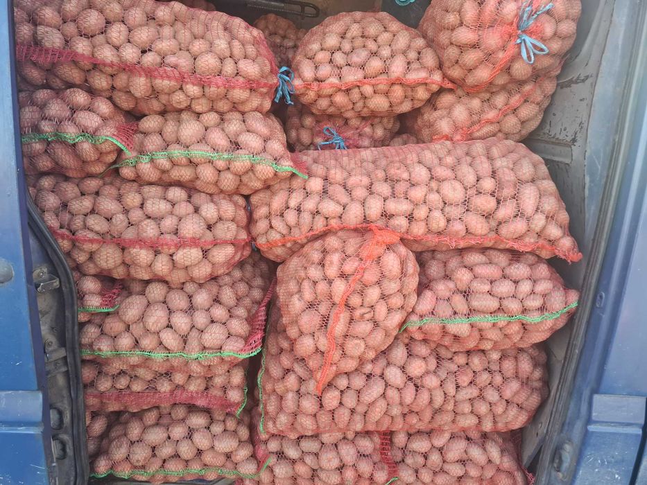 Cartofi sămânță aduce domiciliu clientul județul HD,TM 07#55#23#39#90