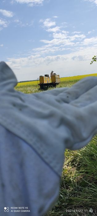Продам мед донник , разнотравье, подсолнечный