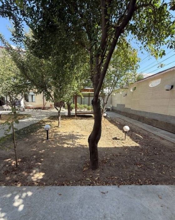 Газон посевной с Горантией