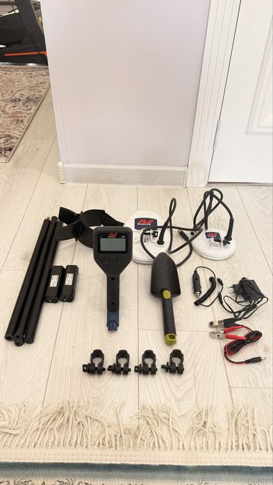 Minelab Gold monster 1000