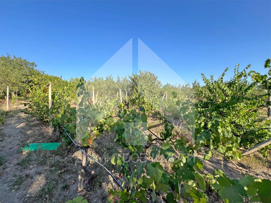 Продава се Къща в Нови пазар - 76 кв.м за 204 €/кв.м - Снимка #15