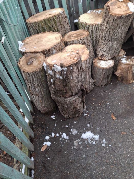 Продаются пеньки,  дрова.