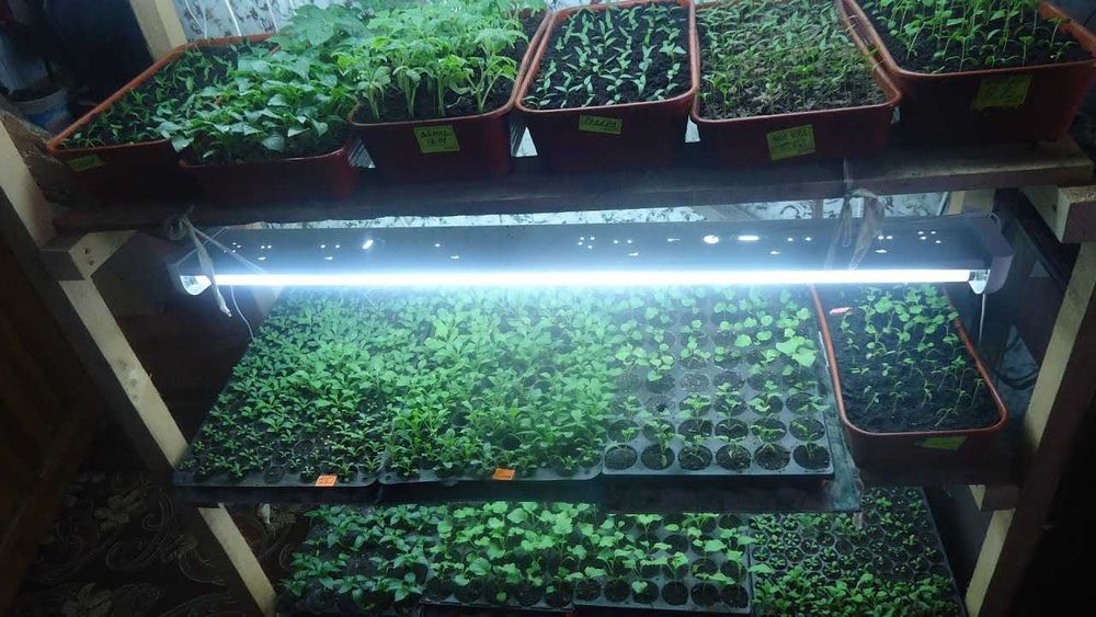 палатка теплица разных размеров