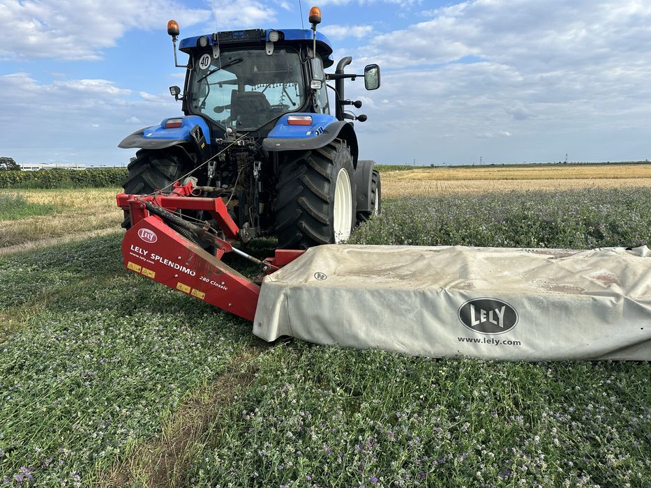 Vand coasa lely splendimo