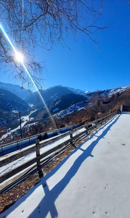 Дом/Дача посуточно