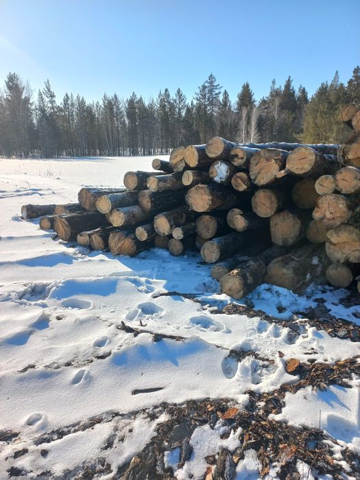 Пиломатериалы оптом и в розницу