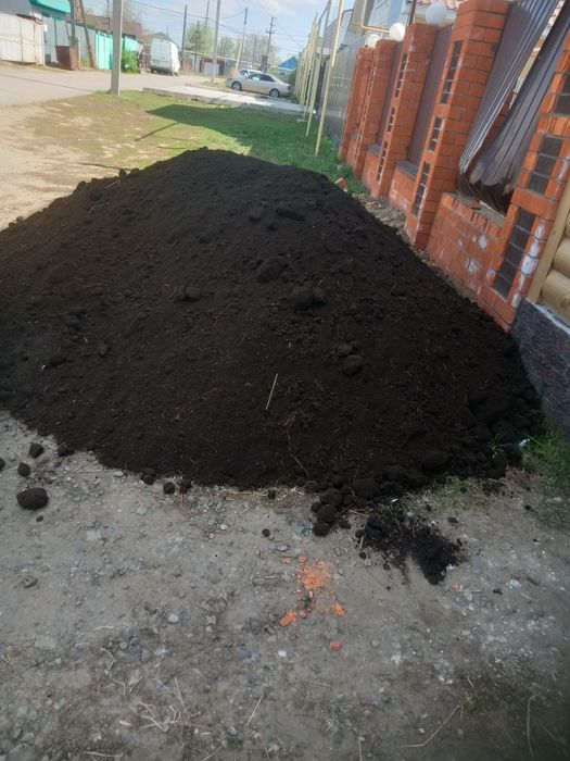 Чернозем плодородный