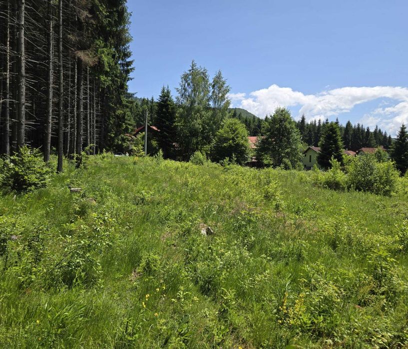 Vand teren Orasul Sinaia