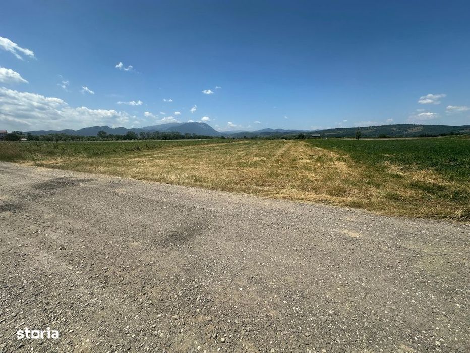 Teren 5000 mp Glajerie, zona Rasnov