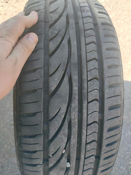 Vand avepole de iarna