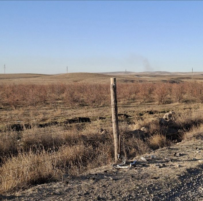 Продам Дача 6 соток Шоктас