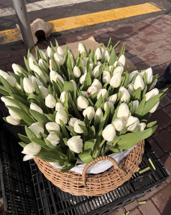 Тюльпаны в корзине к 8МАРТА
