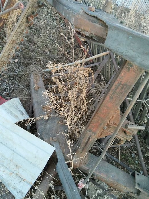 Продажа куна на мтз