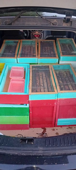 Нуклеуси от фибран