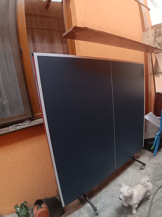 Masa de Ping Pong Sibiu