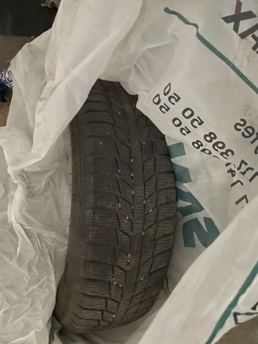 Зимняя резина Triangle PL01 185/65 R15 92R шины
