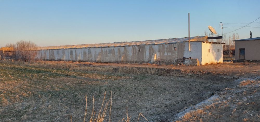 Ferma turar joy maydoni turar 6600 kv