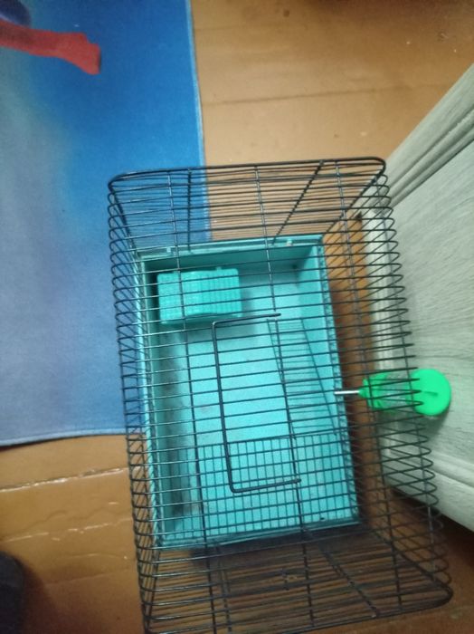 Клетка продам за денги