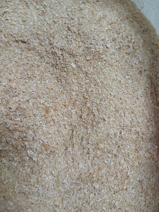 TARATE DE GRAU , la sac de 20 kg , 35 lei sacul