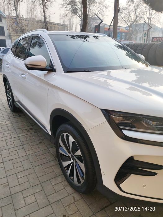 Byd song plus champion 23/24