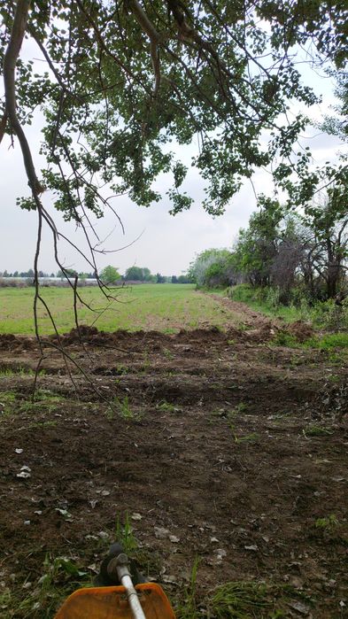 Поле Участо  2га