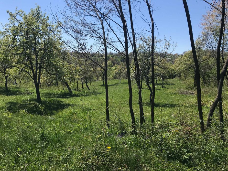 Teren intravilan zona de munte - Albestii de Muscel (Arges)