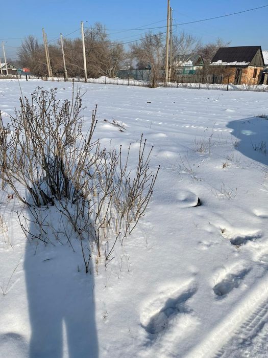 Продается дом на одного хозяина