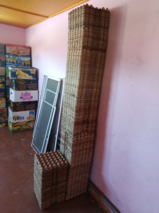 Новый корсет для яйцо