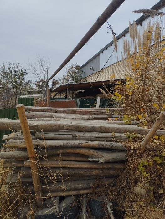 Assalom aleykum qalamalar sotiladi