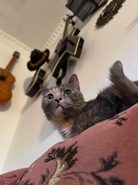 В самые добрые и ответсвенные руки.