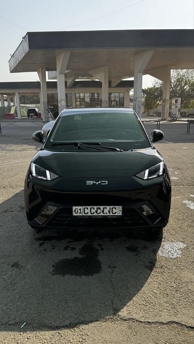 Byd seagull qora 2024/2025