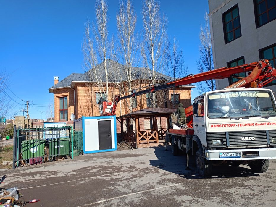 Спил дерево и клонирование санитарной обрезки.