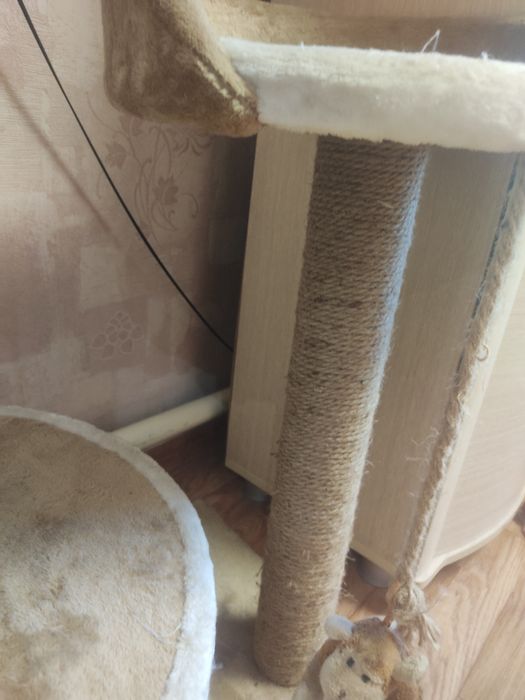 Домик для кошки в отличном состоянии