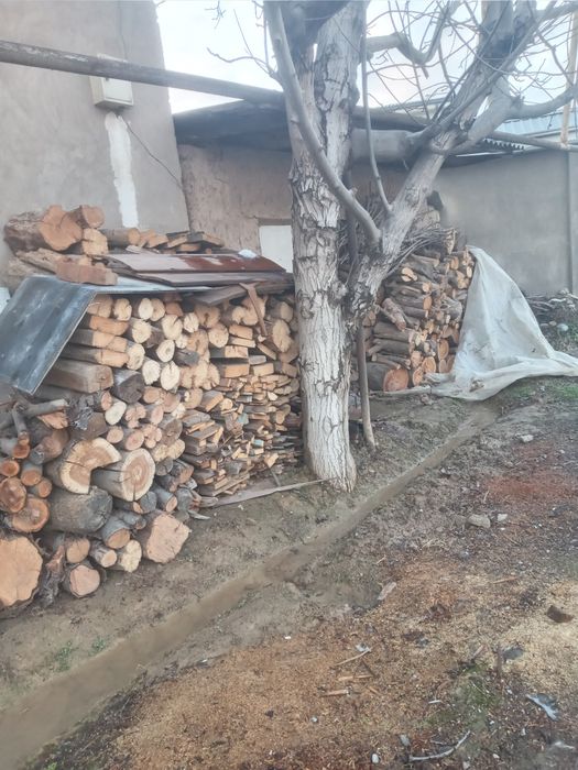 O'tin sotiladi aralash