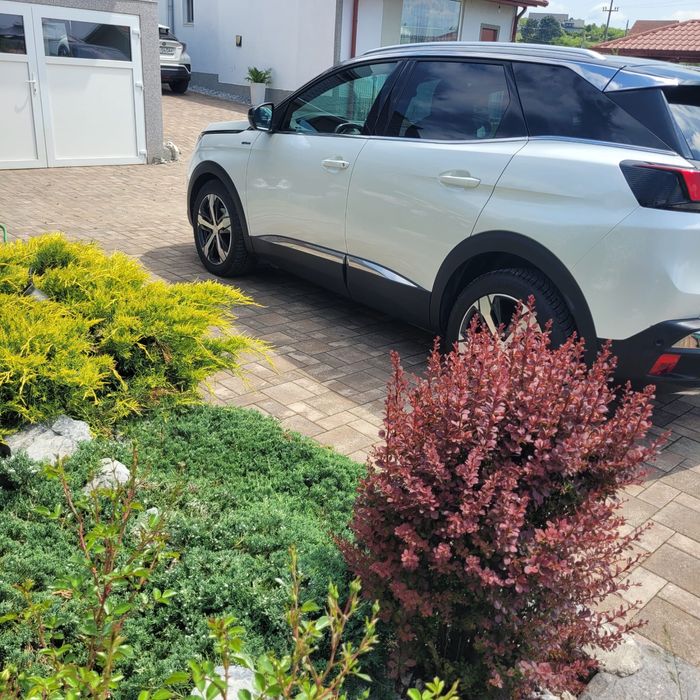 Vand Peugeot 3008