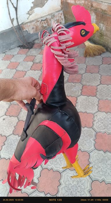 Хороз ойинчок тринерофка учун