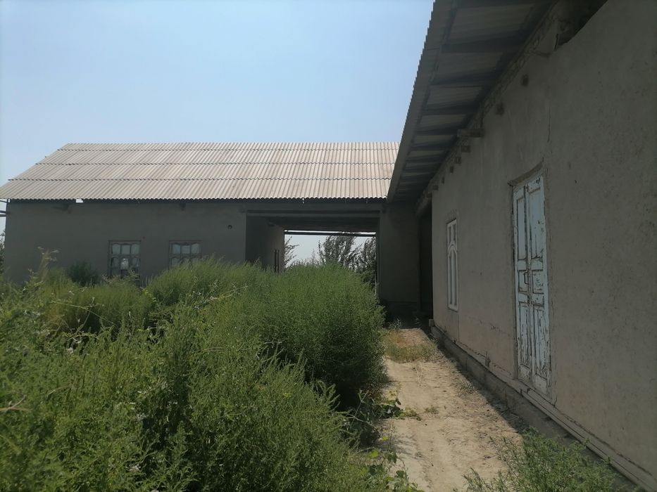 Uy sotiladi 12 sotix