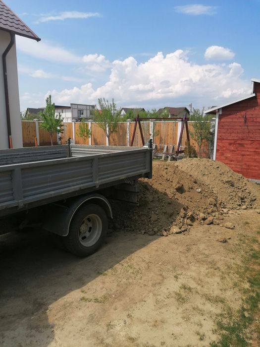 Pamant de gradina Chisai de gazon sau mranita