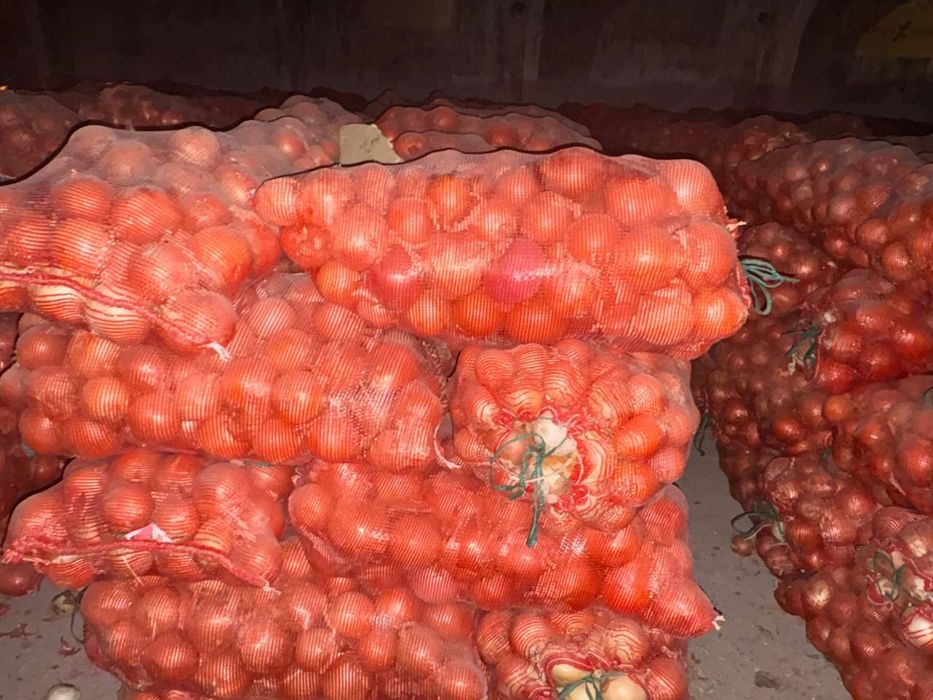 Лук репчатый очень хорошего качества.