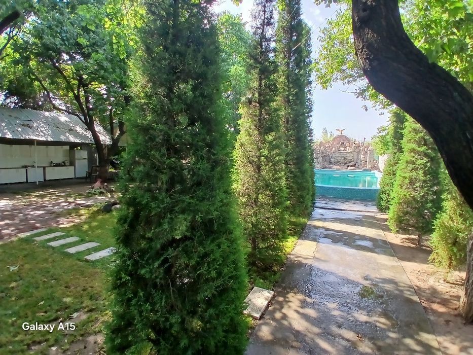Dacha Nazarbek mostdan 2.5 km
