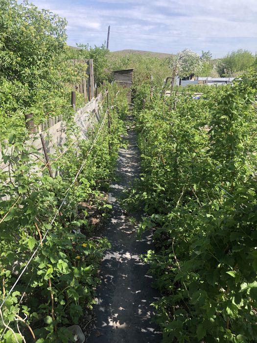 Продается ДАЧА 6 соток