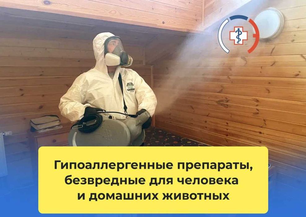 Служба уничтожение клоп таракан блох крыс мух Дезинсекция Дезинфекция