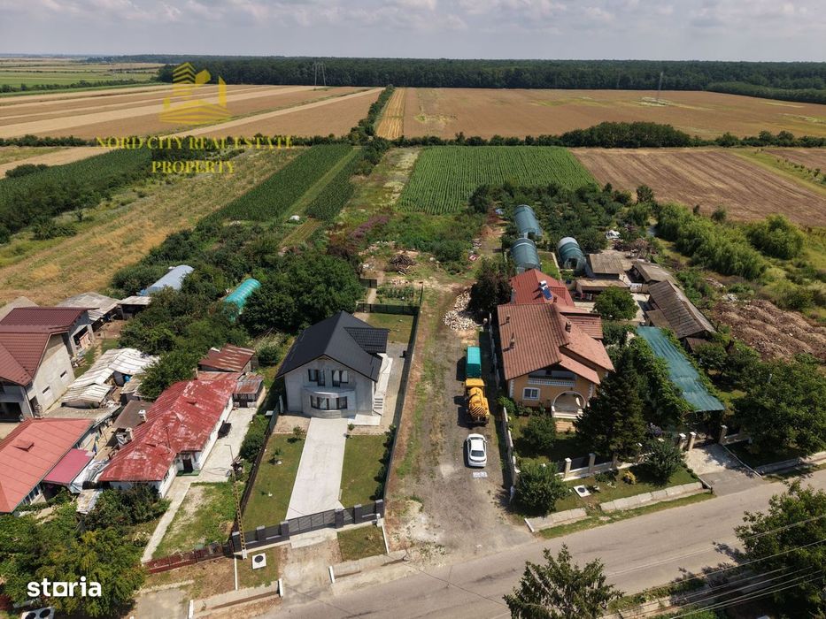 Teren 2.700 mp Ciocănești - Urziceanca | La asfalt